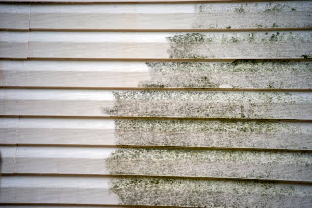 Best Siding Painting and Refinishing  in Oak Grove, AL