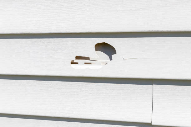 Best Insulated Siding Installation  in Oak Grove, AL