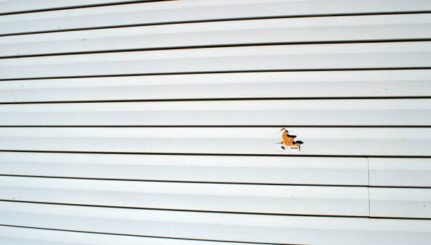 Best Siding Removal and Disposal  in Oak Grove, AL