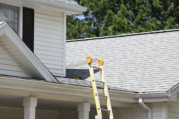Best Storm Damage Siding Repair  in Oak Grove, AL